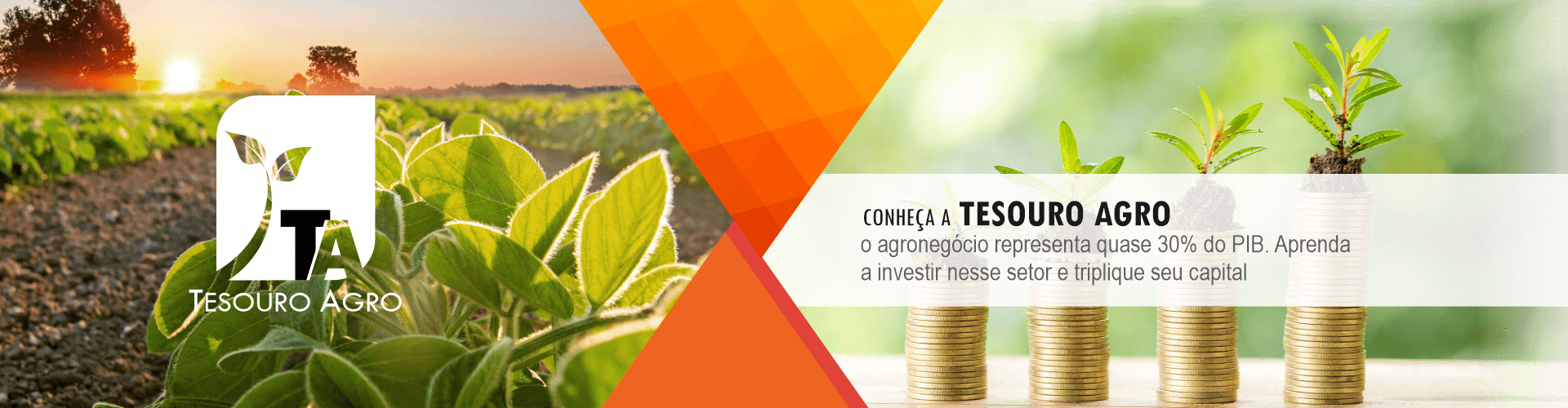 Tesouro Agro